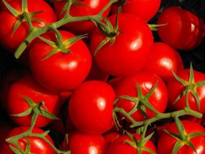 LNG阀门管道附件检测工作台图2